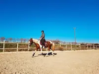 Ecurie de Launac