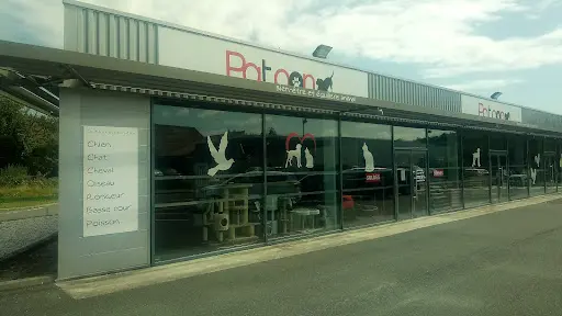 Patoon