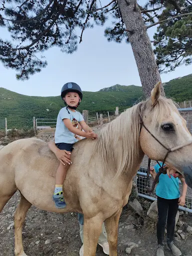 Ranch U Tragulinu