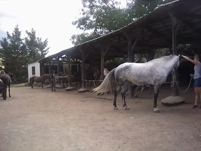 Centre Equestre de Farnay