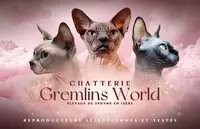 Chatterie Gremlins World