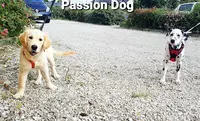 Passion Dog Loiret