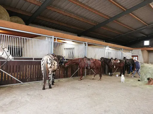 Ferme Equestre Juan - Randonnée Cheval Jura