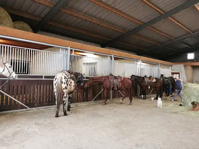 Ferme Equestre Juan - Randonnée Cheval Jura