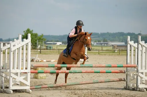 Centre Equestre de Fay-les-etangs