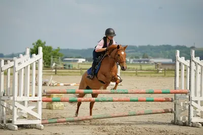 Centre Equestre de Fay-les-etangs
