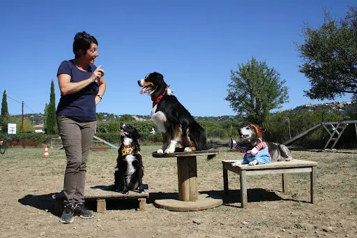 École du Chiot et du Chien | Chiari Gisèle