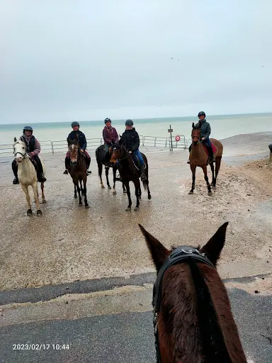 Centre Equestre des Hautes Falaises