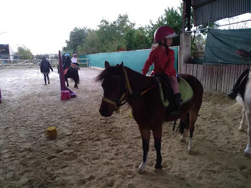 Arh Équitation