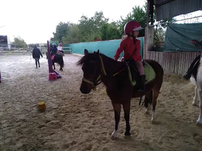 Arh Équitation