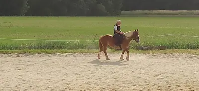 Poney Club de Fenouillet