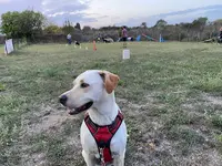 Team Agility Cathare