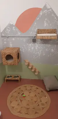 Pension Pour Chats - le Palais de Nerté
