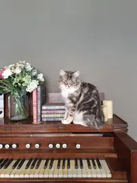 Chatterie de Beaucaine