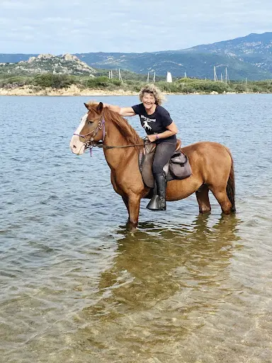 Mini Ranch - les Poneys de Figari