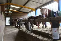 Centre Equestre de Figeac