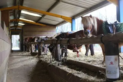 Centre Equestre de Figeac
