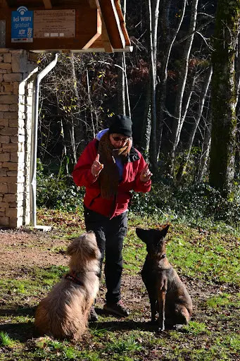 Ô My Dog - Educateur Comportementaliste Canin - Vanhuffel Florent Lot 46