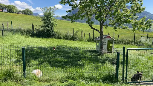 Domaine de la Petite Meute