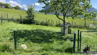 Domaine de la Petite Meute