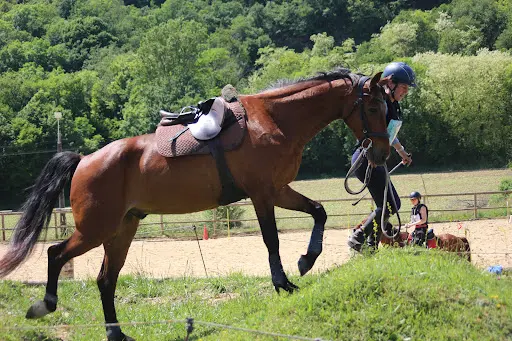 Les Amazones Ecurie Active