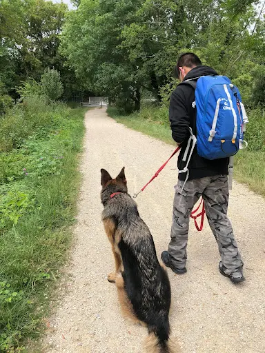 Uni Vers Canin, Éducateur Comportementaliste Canin - Kiên Comte