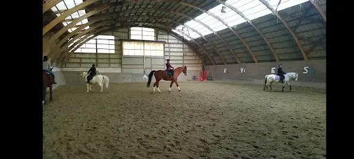 Poneys et Cie