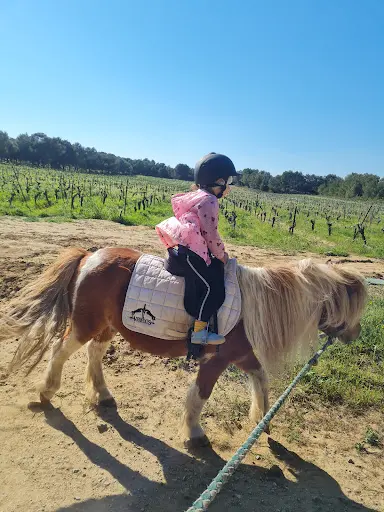 Poney Club de l'Oustalet