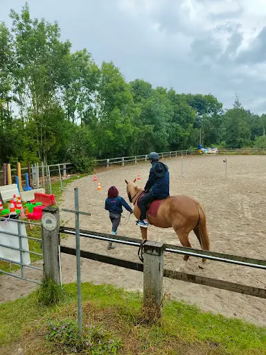 Haras des Frenchwords