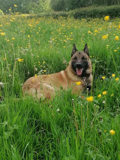 Edu Canin