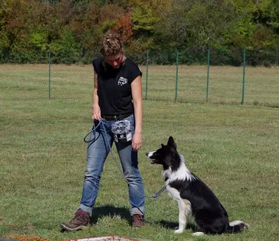 l'Ombre d'Un Chien - Éducateur Canin Comportementaliste - Aveyron