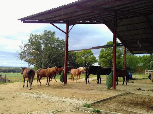 Eco-ferme de Corcelles