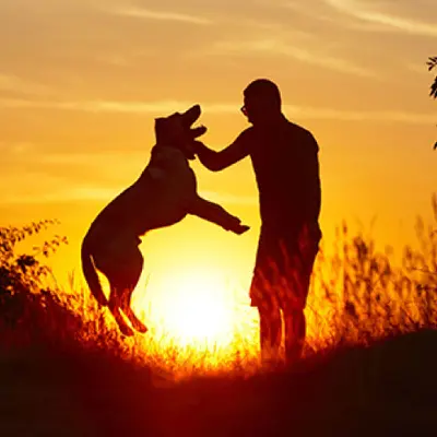 Ariege Education Canine Denis Racagel