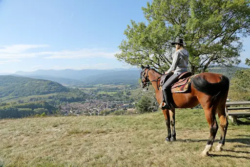 Comité Départemental de Tourisme Équestre Ariège (cdte 09)