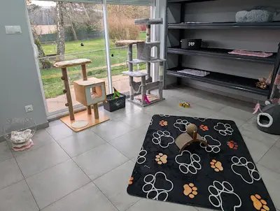 Au Chat Dodo