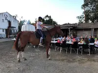 Poney-club de Fonsorbes