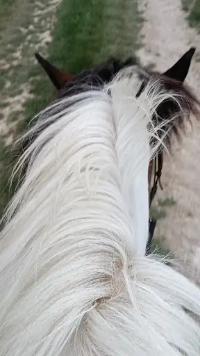 Natur A Cheval