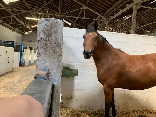 Societe Equestre de Fontainebleau