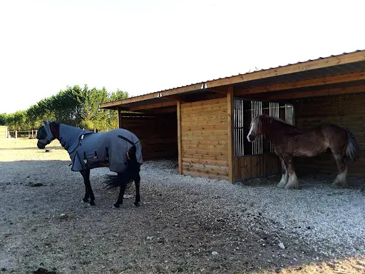 Scm Equitation