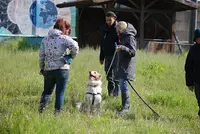 My First Dog Education Canine - Éducateur Canin - Comportementaliste Canin