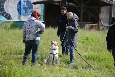 My First Dog Education Canine - Éducateur Canin - Comportementaliste Canin