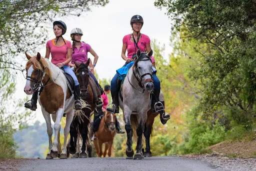 Horse Aventure