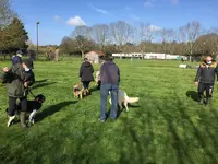 Association Fontenaisienne des Amis du Chien (afac85)