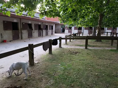 Centre Equestre l'Etrier Fontenaisien