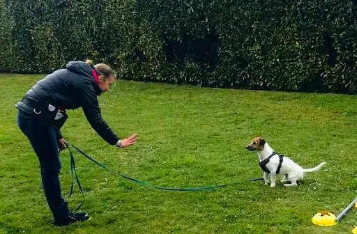 Listen’dog78