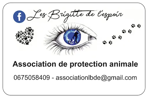 Les Brigitte de l'Espoir