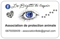 Les Brigitte de l'Espoir