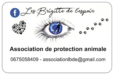 Les Brigitte de l'Espoir