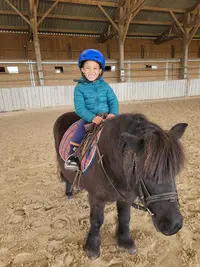 Haras Boréal - Écuries Laura Saine