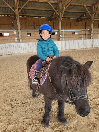 Haras Boréal - Écuries Laura Saine